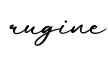 单词rugine书写