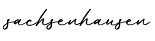 单词sachsenhausen书写