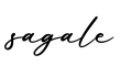 单词sagale书写