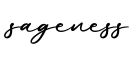 单词sageness书写