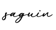 单词saguin书写