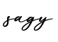 单词sagy书写