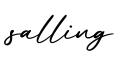 单词salling书写