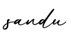 单词sandu书写