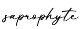 单词saprophyte书写