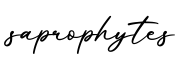 单词saprophytes书写