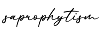 单词saprophytism书写