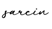 单词sarcin书写