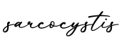 单词sarcocystis书写