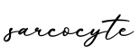 单词sarcocyte书写