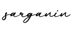 单词sarganin书写
