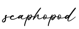 单词scaphopod书写