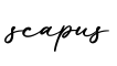 单词scapus书写