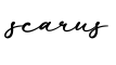 单词scarus书写