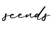 单词scends书写