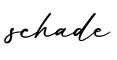 单词schade书写