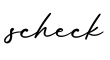 单词scheck书写