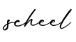 单词scheel书写