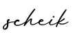 单词scheik书写
