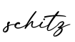 单词schitz书写