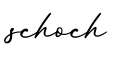 单词schoch书写