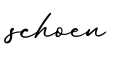 单词schoen书写