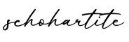 单词schohartite书写
