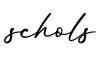单词schols书写
