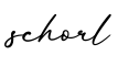 单词schorl书写
