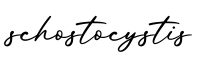 单词schostocystis书写