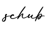单词schub书写