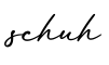 单词schuh书写