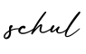 单词schul书写