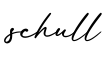 单词schull书写