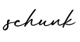 单词schunk书写