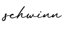 单词schwinn书写