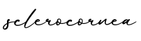 单词sclerocornea书写
