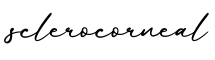 单词sclerocorneal书写
