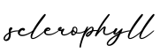 单词sclerophyll书写