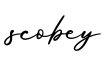 单词scobey书写