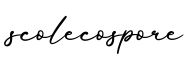 单词scolecospore书写