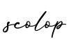 单词scolop书写