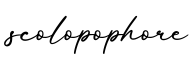 单词scolopophore书写