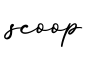 单词scoop书写