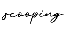 单词scooping书写