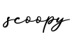单词scoopy书写