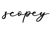 单词scopey书写