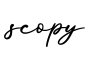 单词scopy书写
