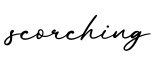 单词scorching书写