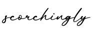 单词scorchingly书写